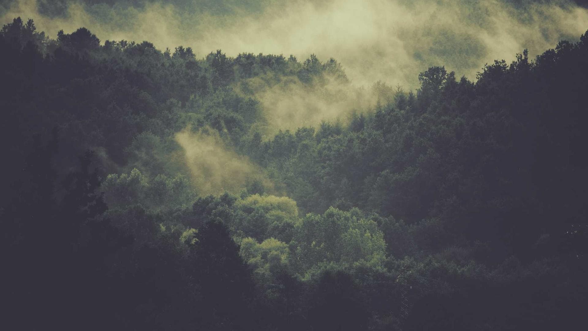 Abstract architectural detail