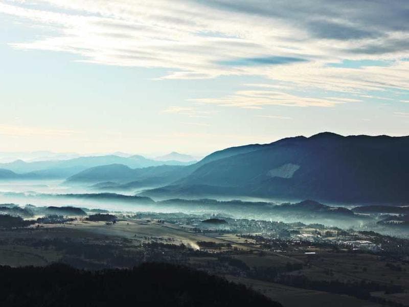 Real Estate Consultancy